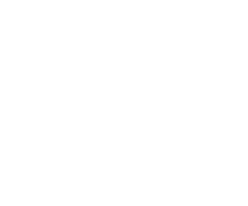 Logo Seanfinity