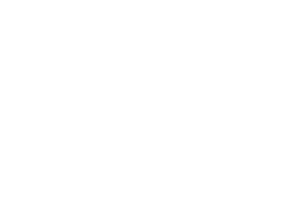 Logo Seanfinity Home
